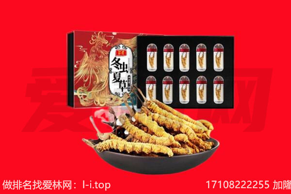 萍乡市莲花回收虫草.jpg